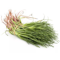 Agretti