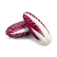 Radicchio